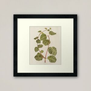 Green Plant with White Veins and Red Stem Against Light Background